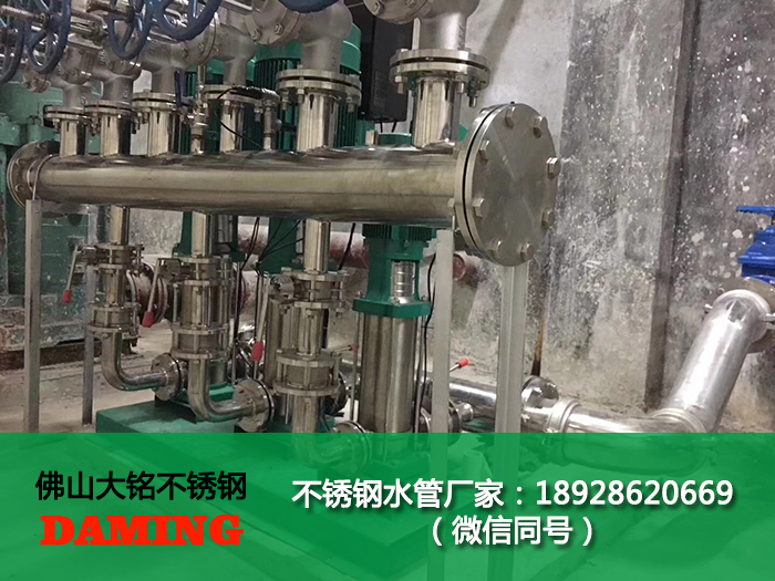 草莓TV网页版草莓视频官网