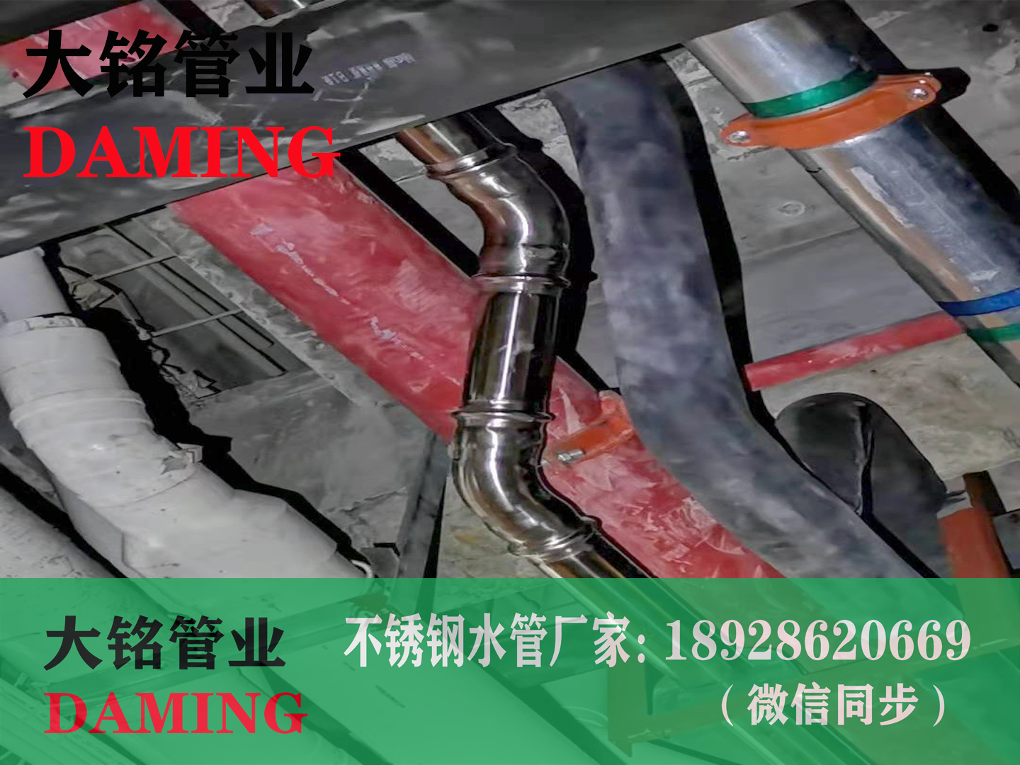 雙卡壓草莓视频官网彎頭